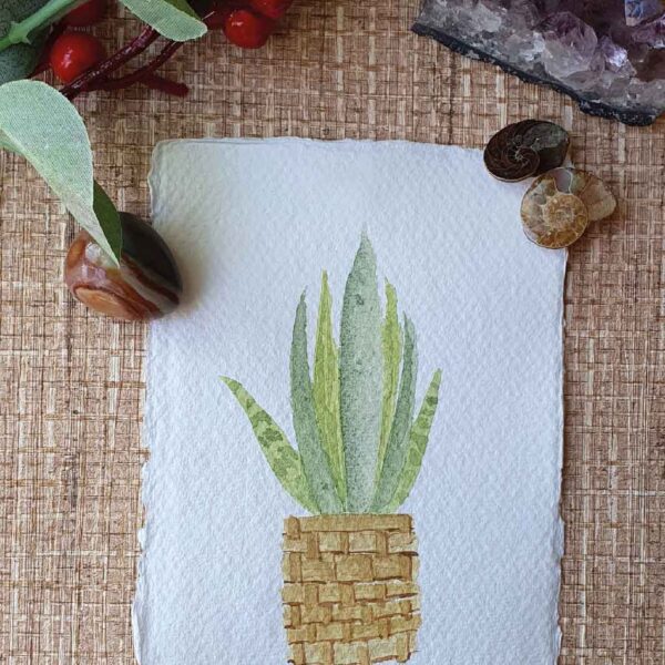 snake plant art