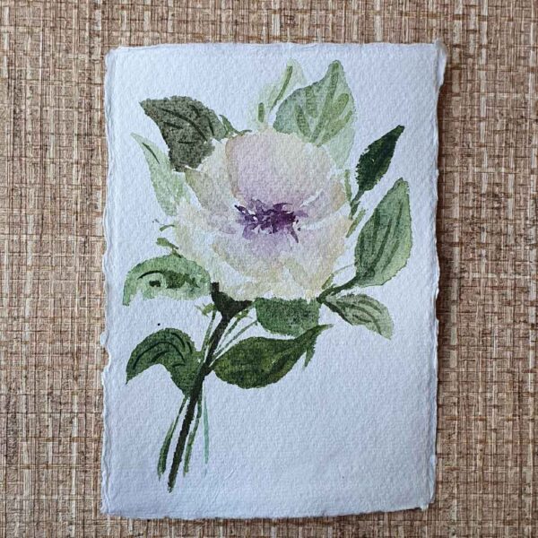 Single white Peony - Image 2