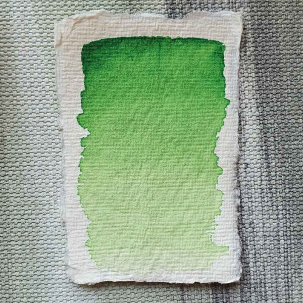 179 Deciduous Green - Image 3